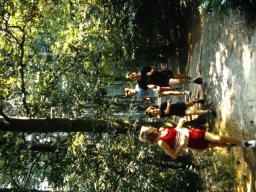 0DIA 1986 RAVAKAMP